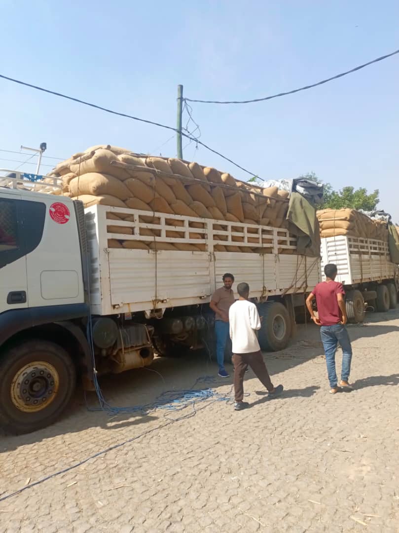 Logistics and Storage